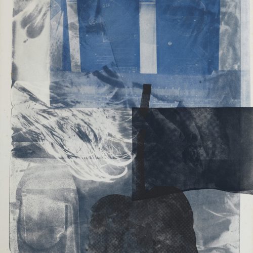 baf02317_robertrauschenberg_drifts