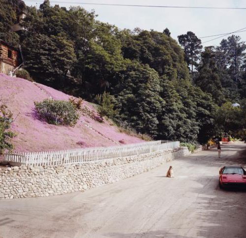 baf00735_joelsternfeld_rustic-canyon-santa-moni