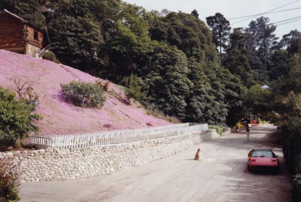 baf00735_joelsternfeld_rustic-canyon-santa-moni