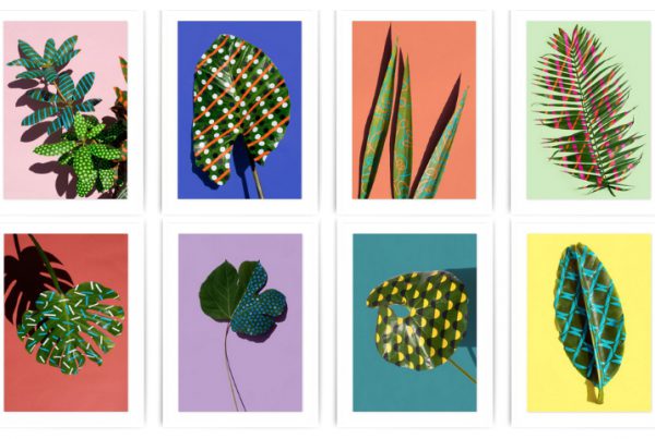 baf00757_sarahillenberger__wonderplants_-series-12
