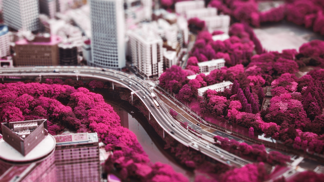 baf01682_jonathansavoie_tokyo-10