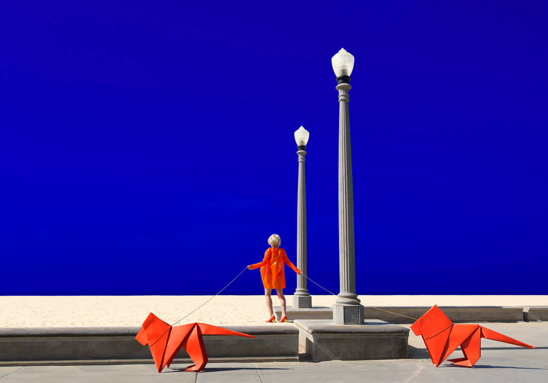 9312365_orig