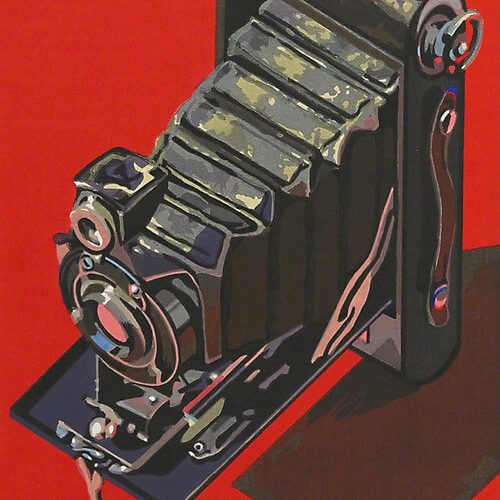 hawk-eye2
