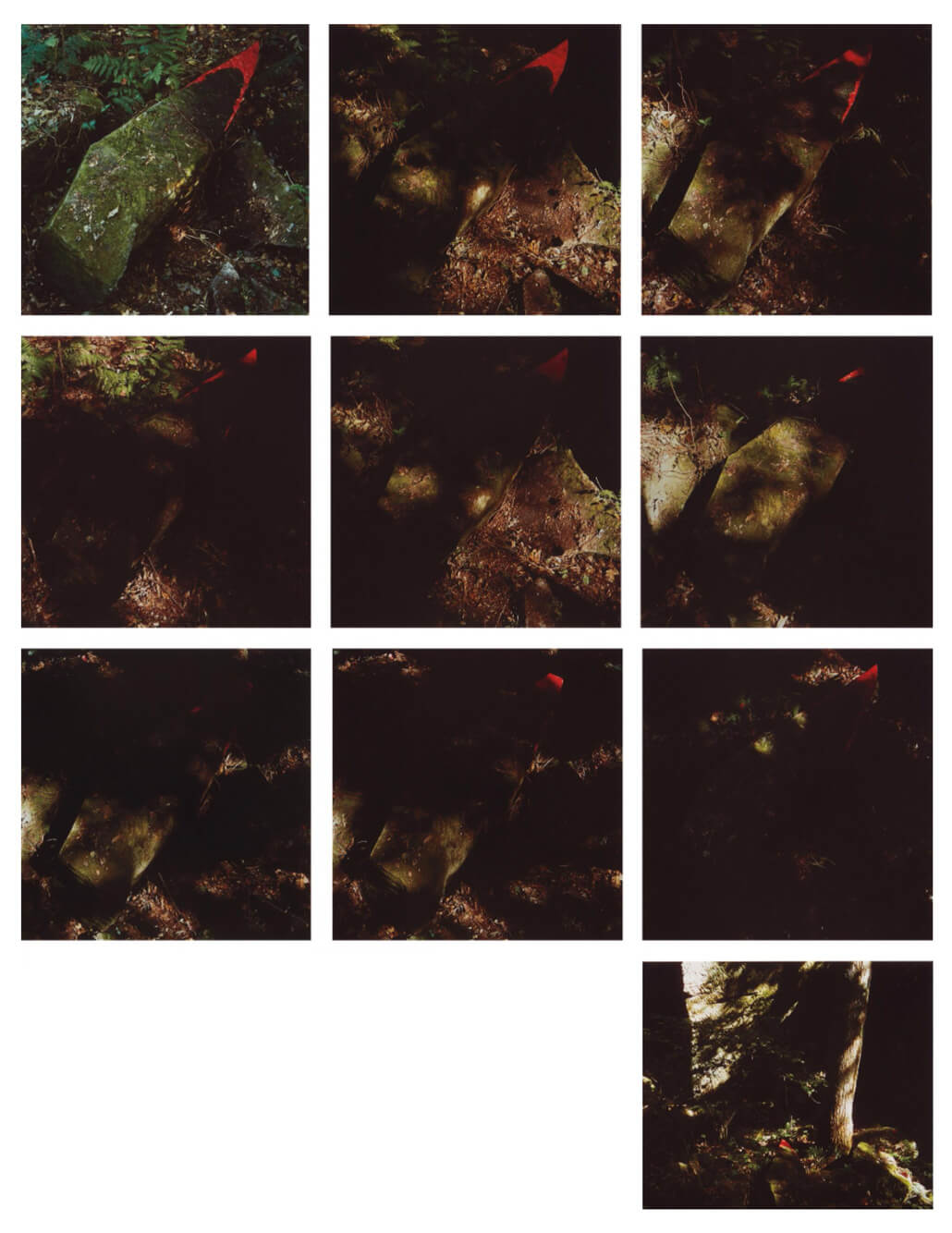 AndyGoldsworthy